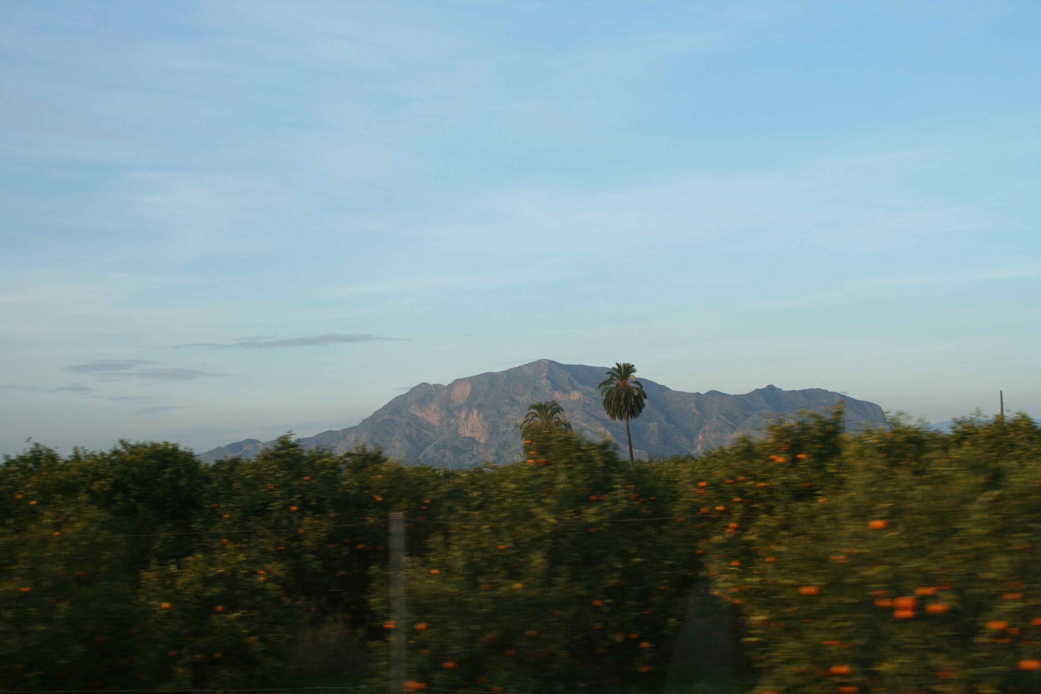 Orange & lemon groves abound around us. Enough of the coast? Head for the mountains...